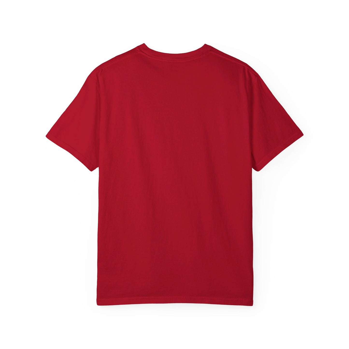 Pretty Good At Making Bad Decisions Tee. Comfort Colors 1717